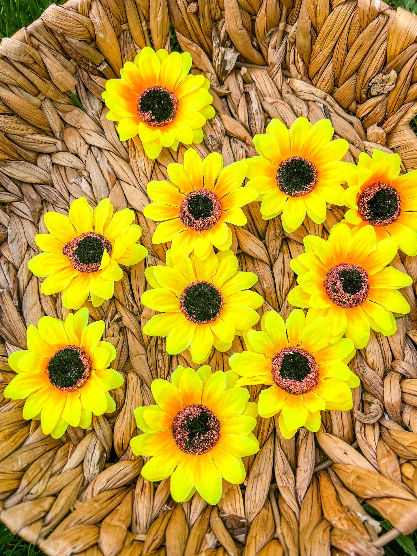 Sunflower Clips