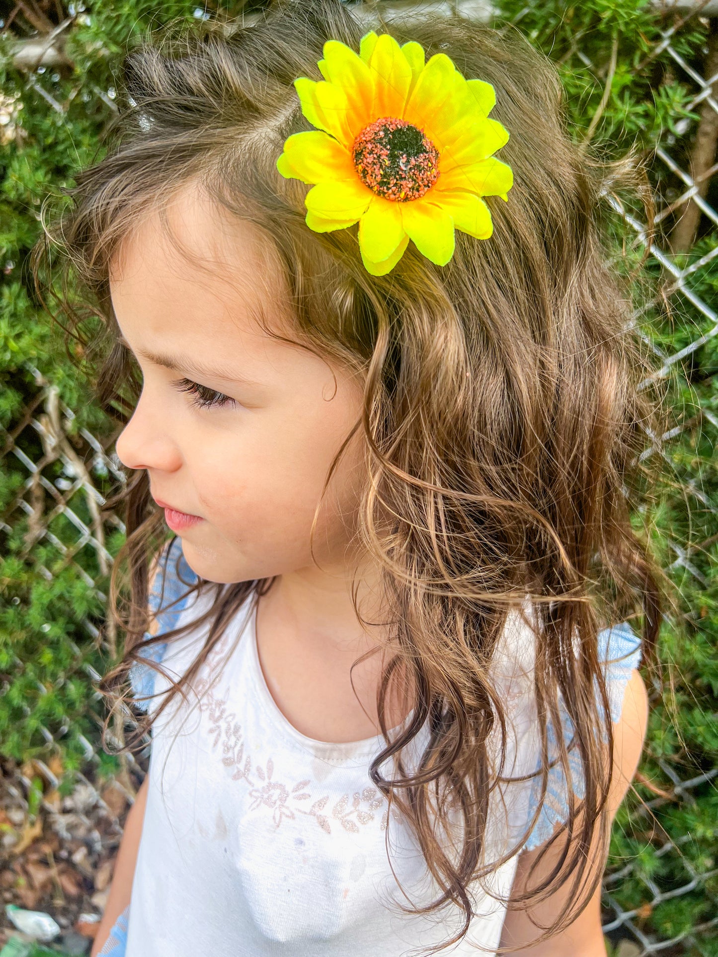 Sunflower Clips