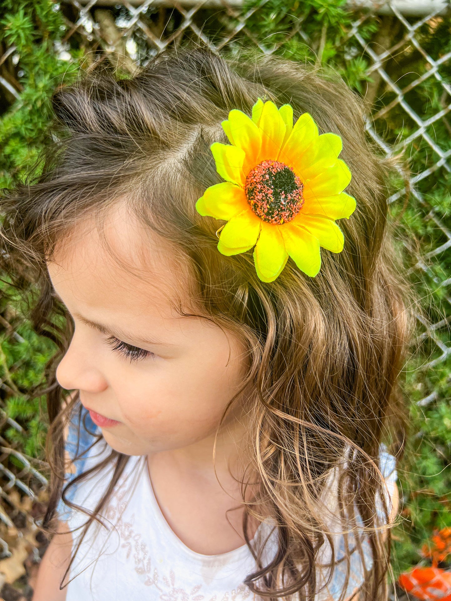 Sunflower Clips