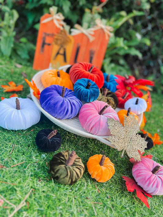 Pumpkin Bows