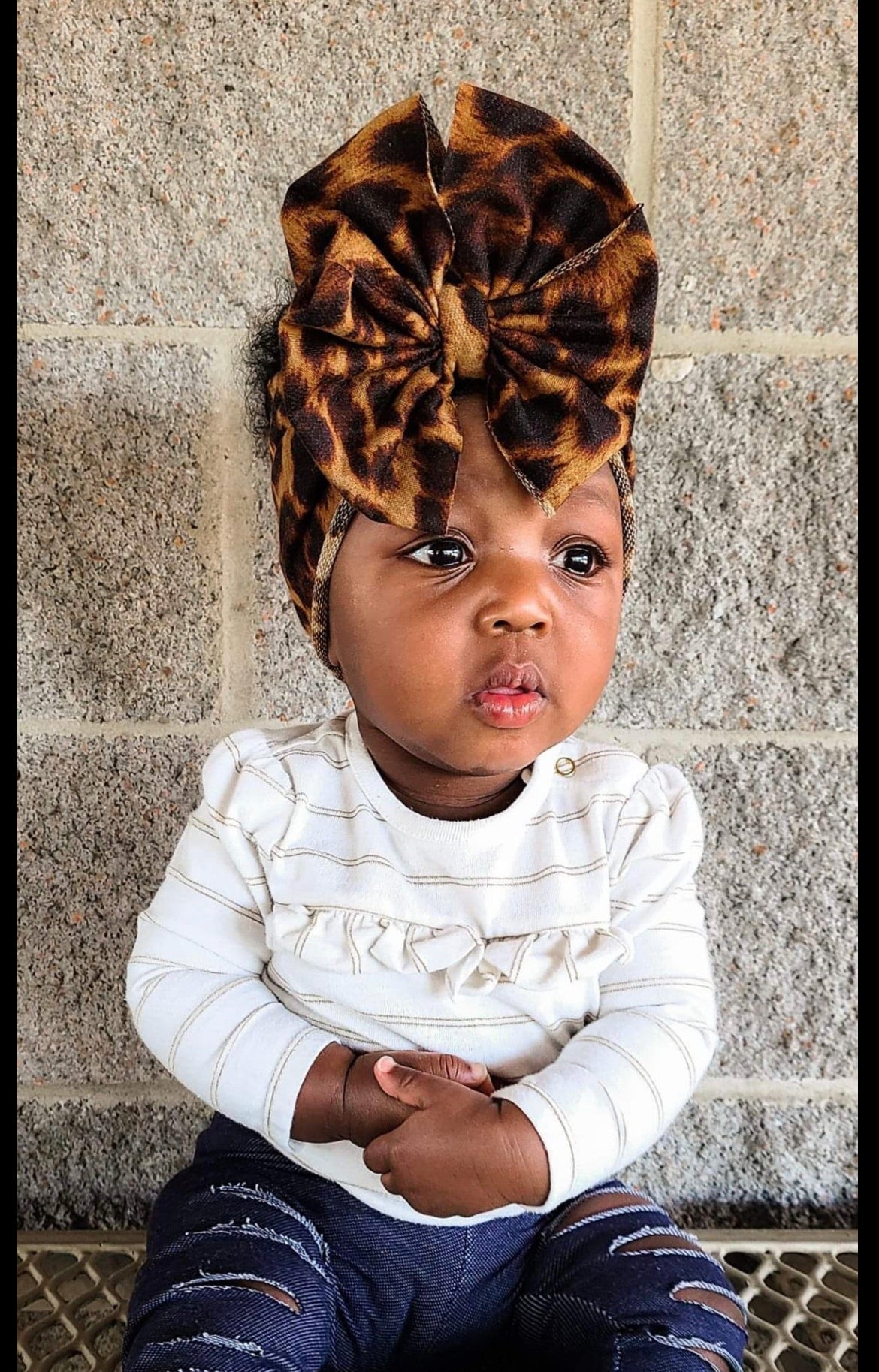 Cheetah