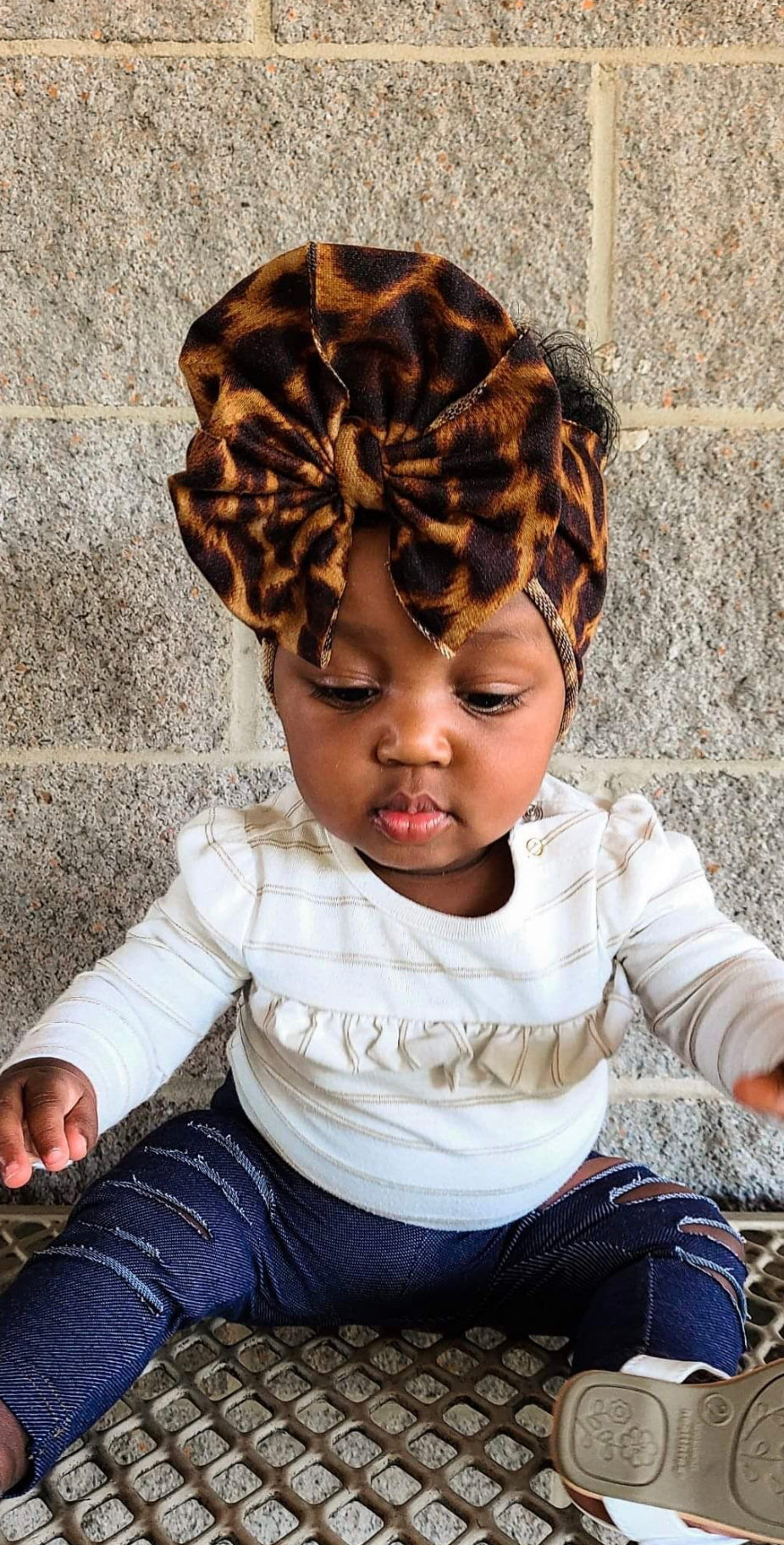 Cheetah