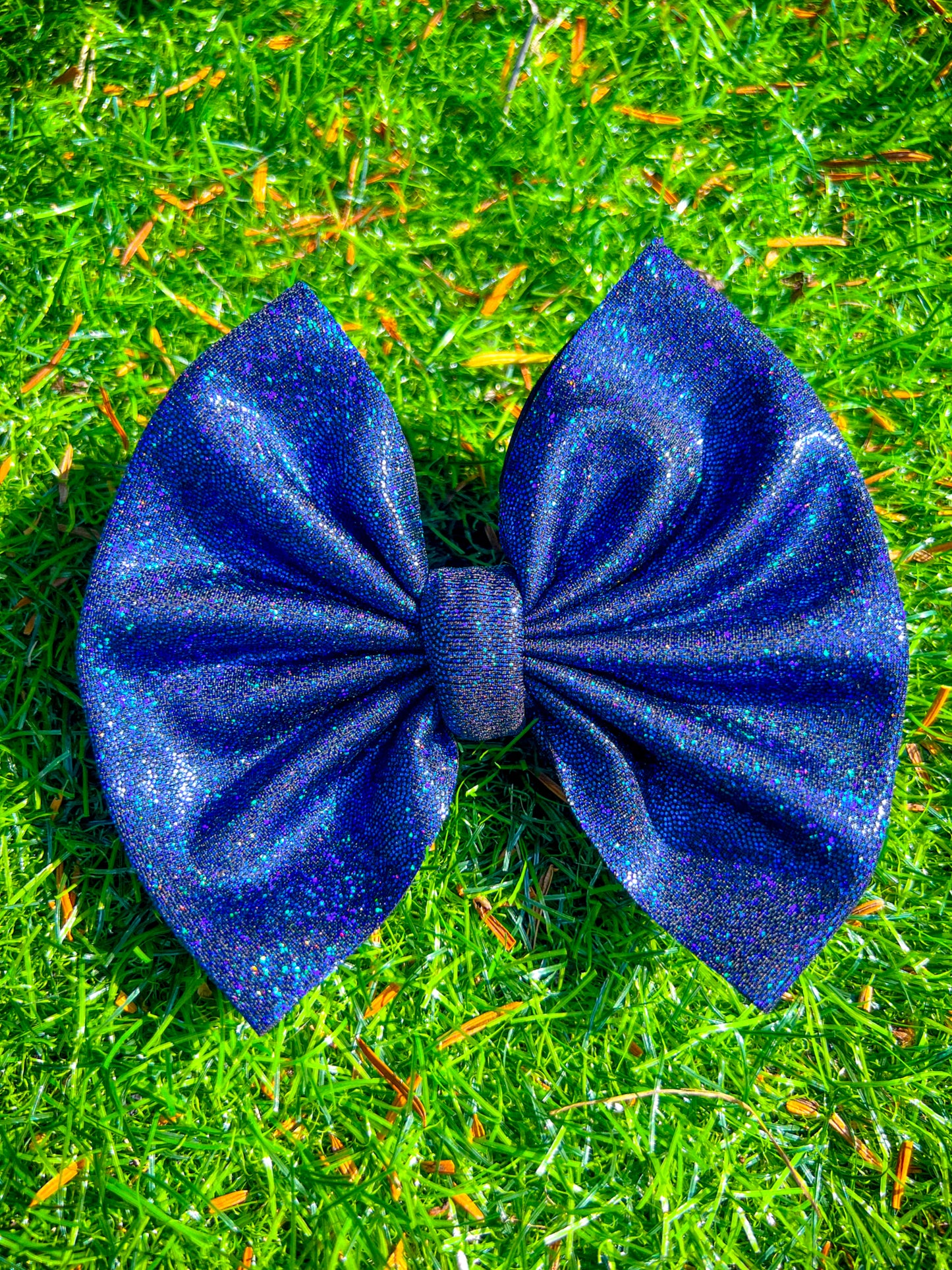 Royal Blue Swim