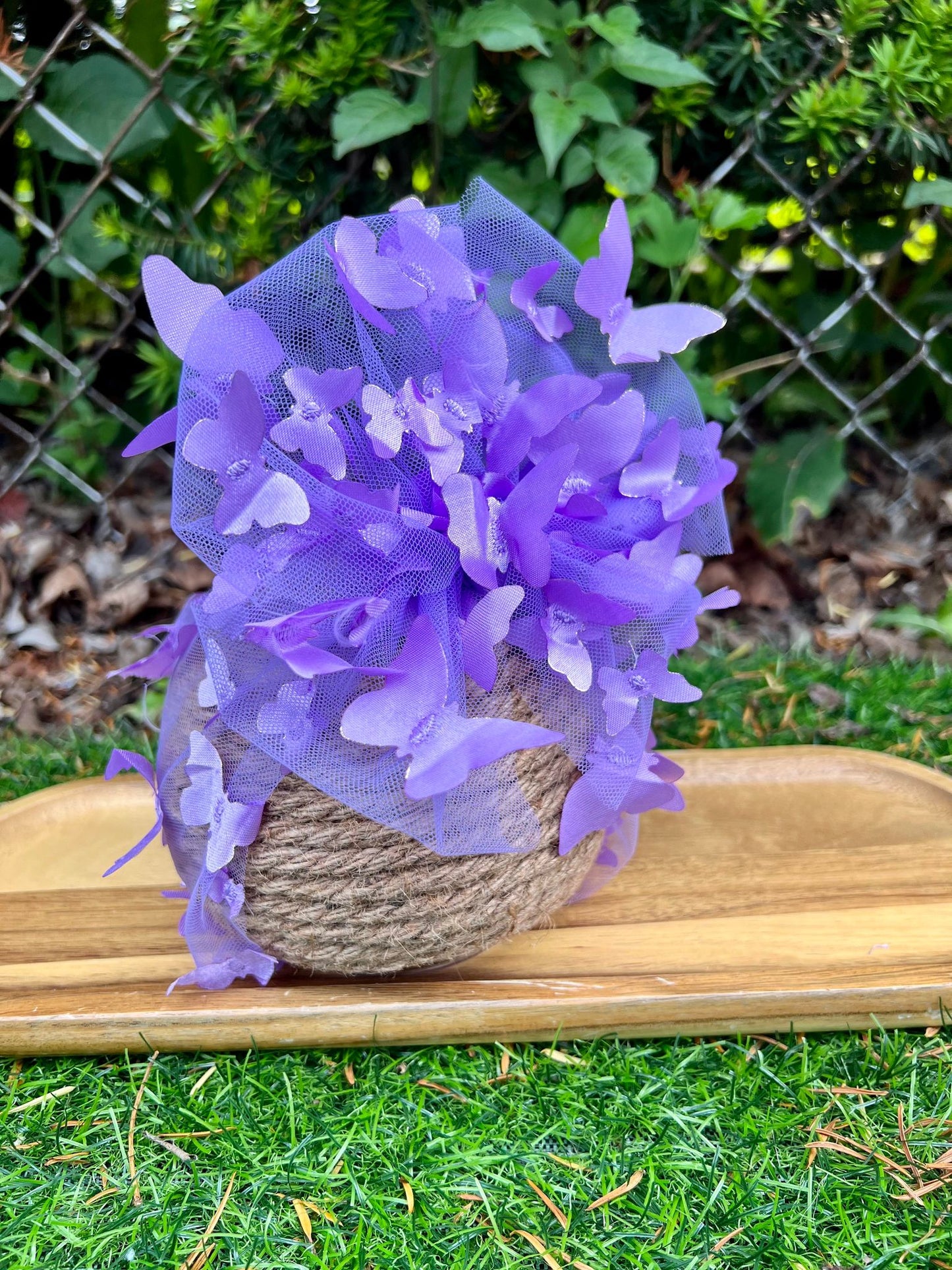 Purple Sheer Butterfly **MESSY**