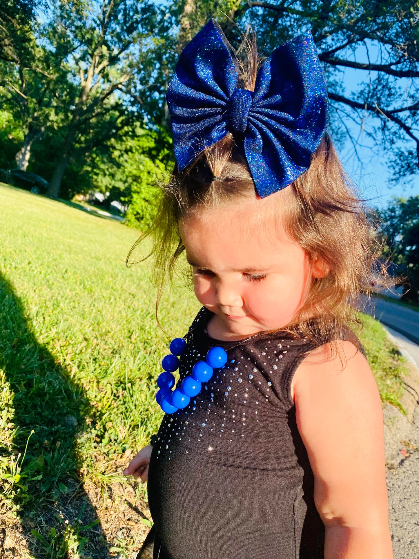 Royal Blue Swim