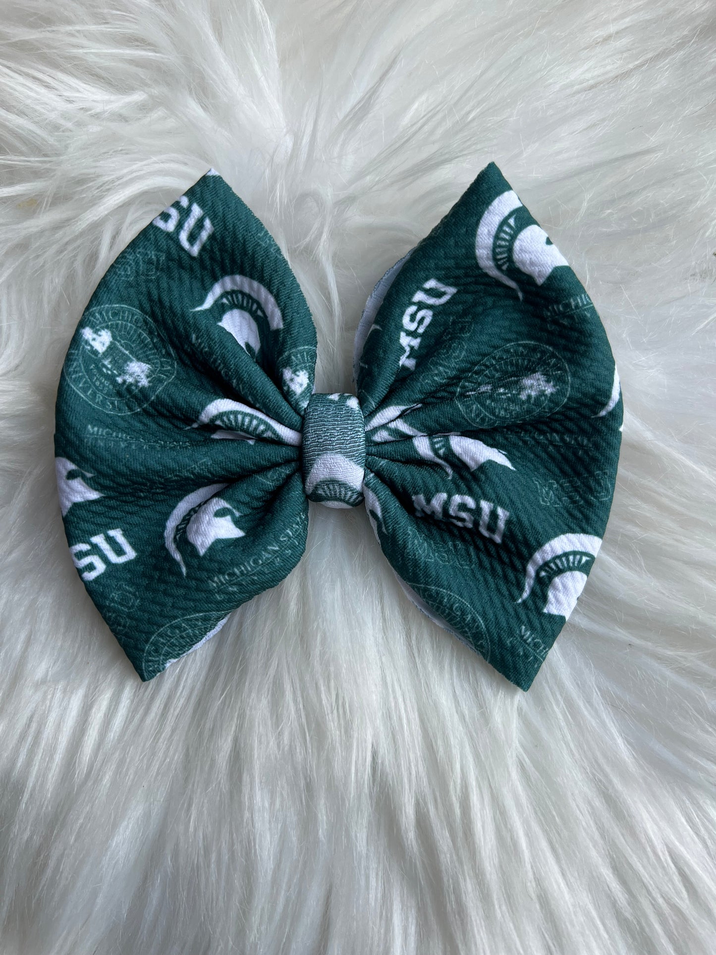 MI State MSU football