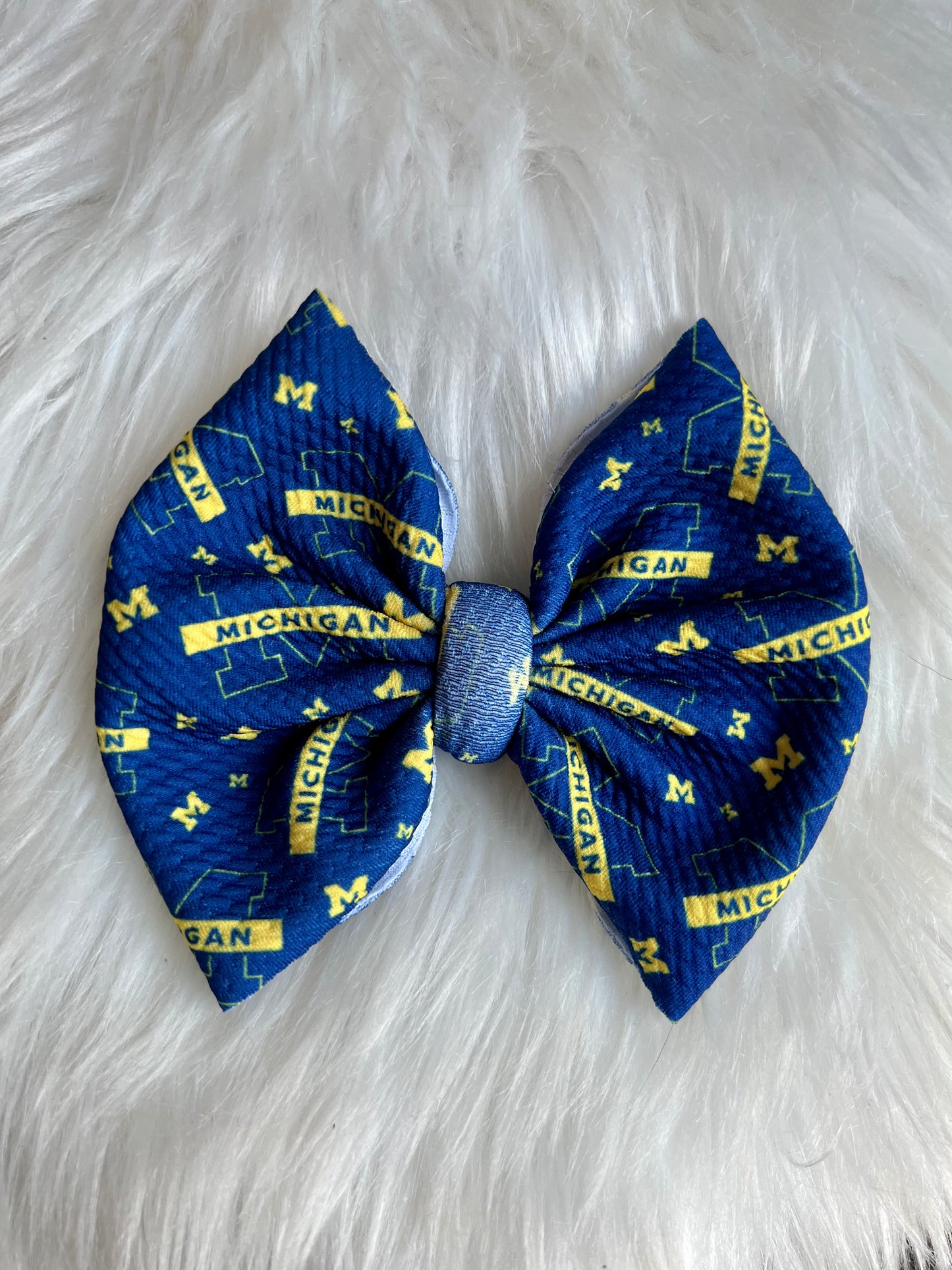 U of MI football